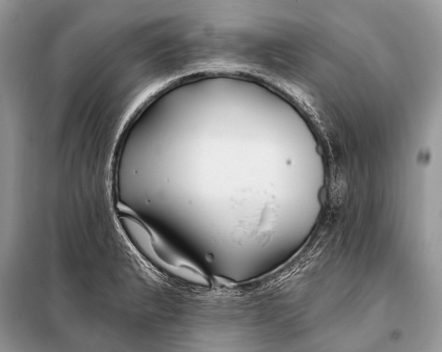 X0000098031183200804181221