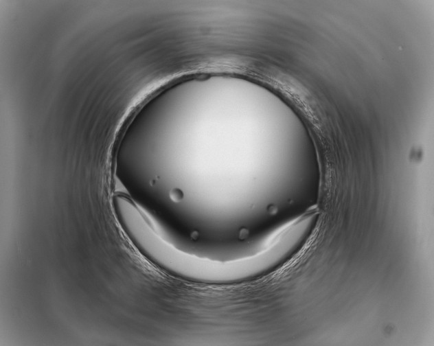 X0000098031184200804181221