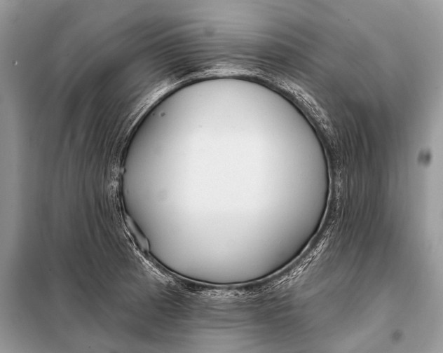 X0000098031185200804181221