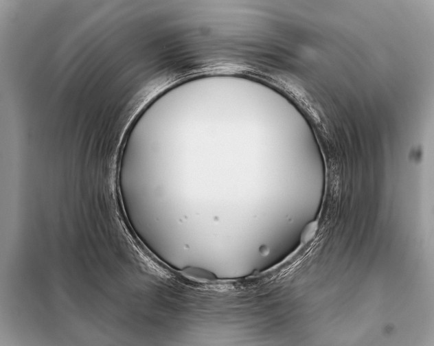 X0000098031186200804181221