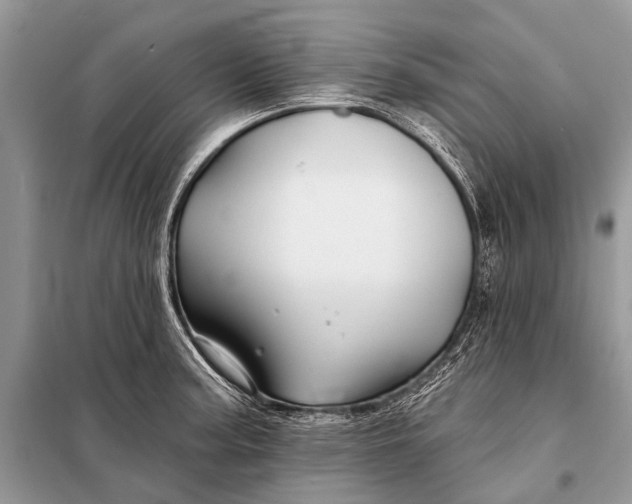 X0000098031187200804181221