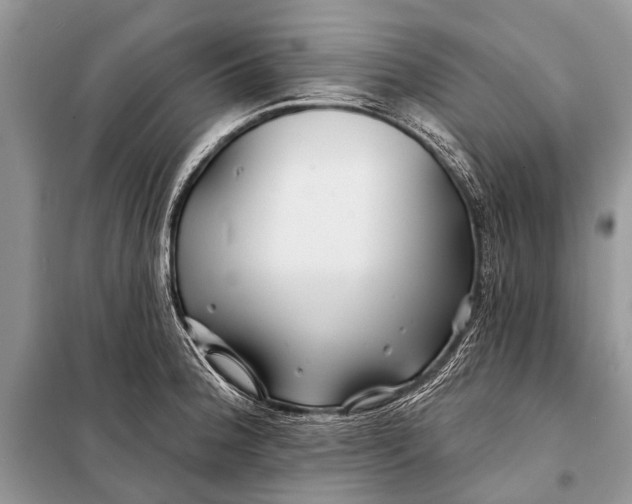 X0000098031188200804181221