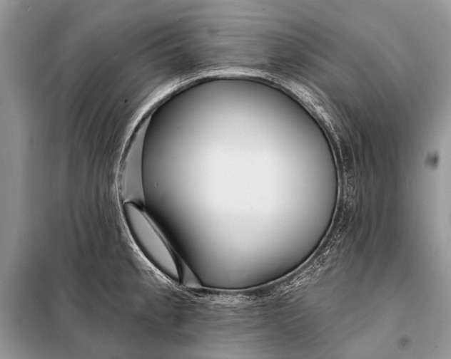 X0000098031189200804181221