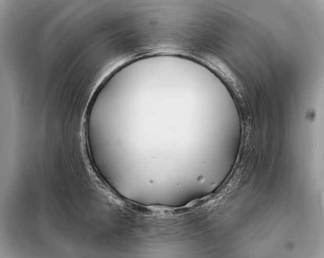 X0000098031190200804181221