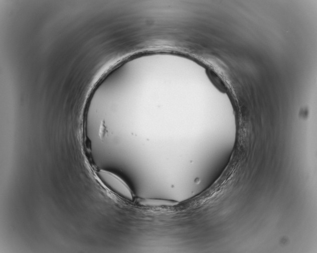 X0000098031191200804181221