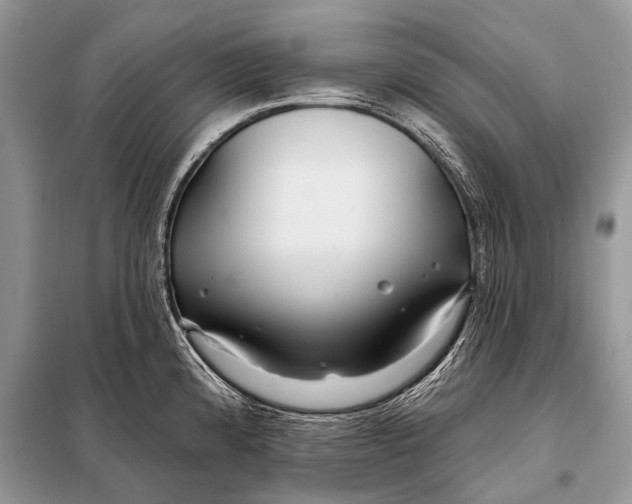 X0000098031192200804181221