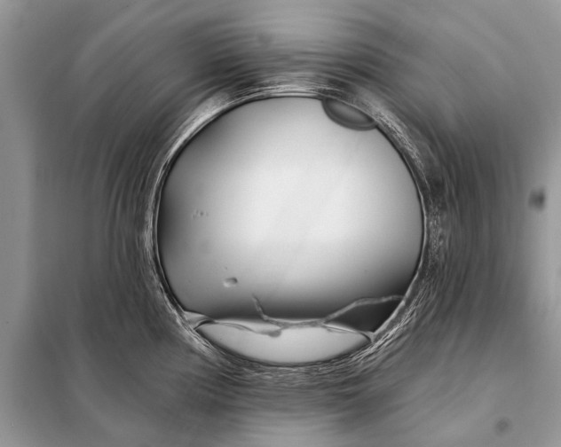 X0000098031194200804181221