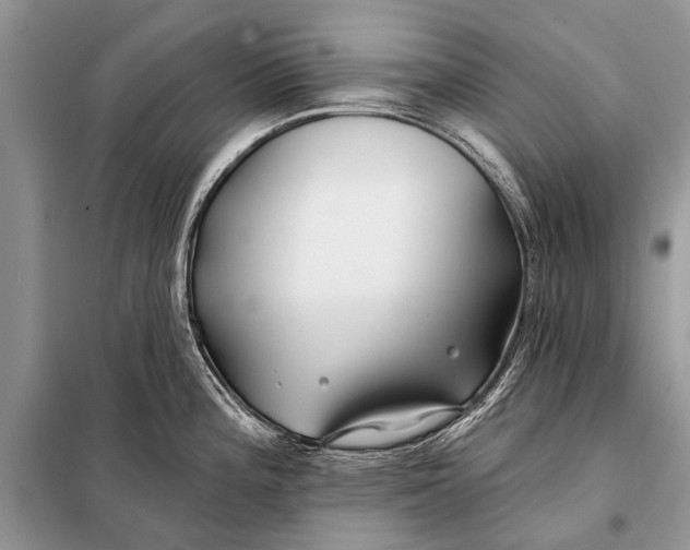 X0000098031196200804181221