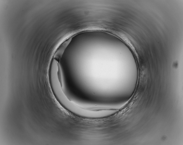 X0000098031197200804181221