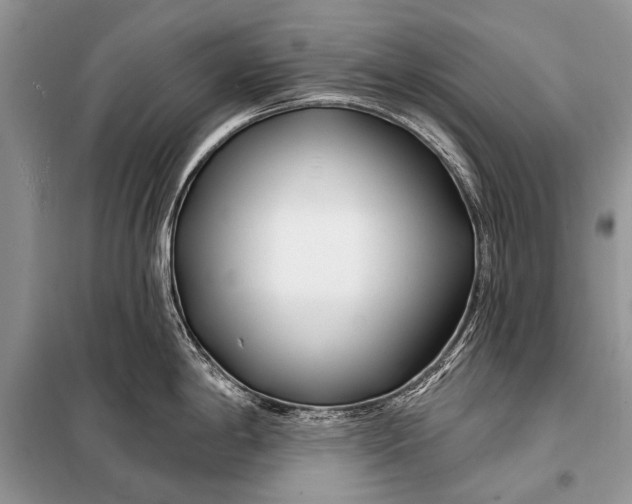 X0000098031198200804181221