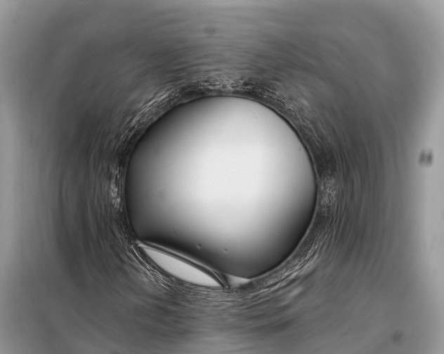 X0000098031202200804181220