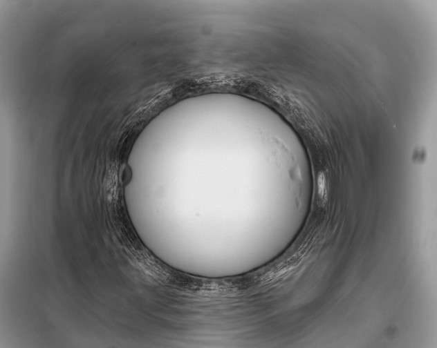 X0000098031203200804181220