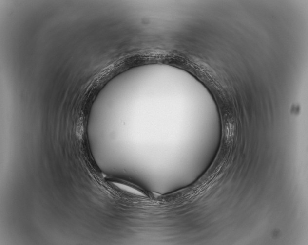 X0000098031204200804181220