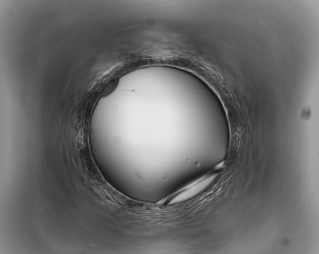 X0000098031205200804181220