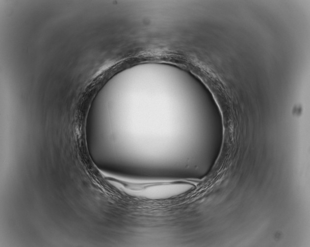 X0000098031206200804181220