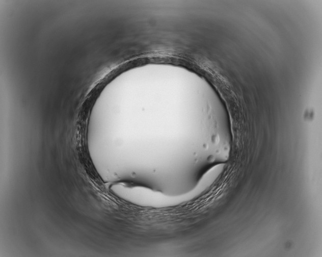 X0000098031208200804181220