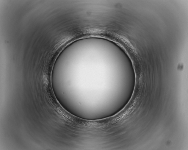 X0000098031209200804181220