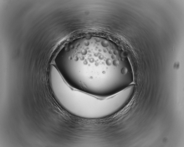 X0000098031210200804181220