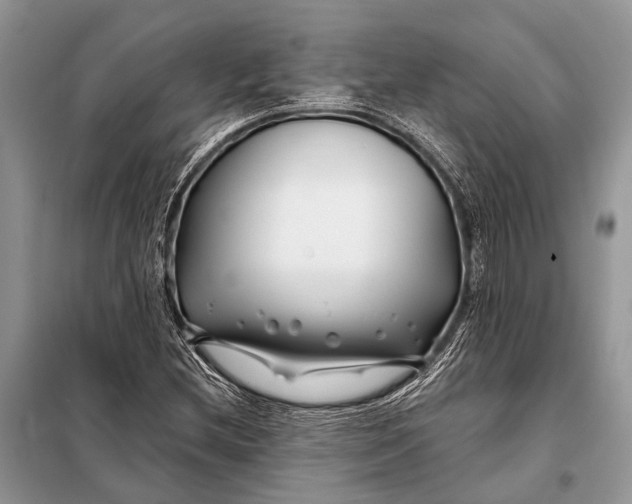 X0000098031212200804181220