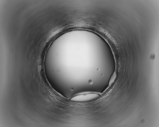 X0000098031213200804181220