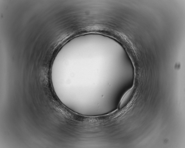 X0000098031217200804181220