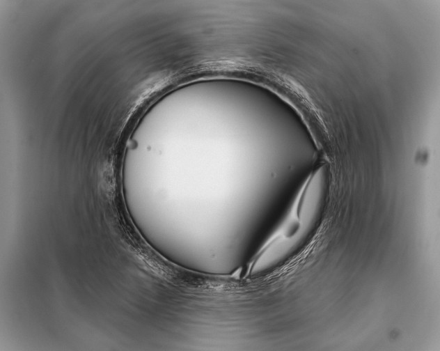 X0000098031218200804181221