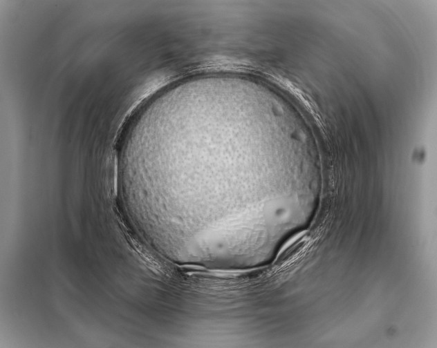 X0000098031219200804181221