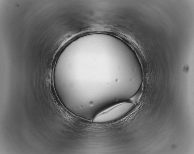 X0000098031220200804181221