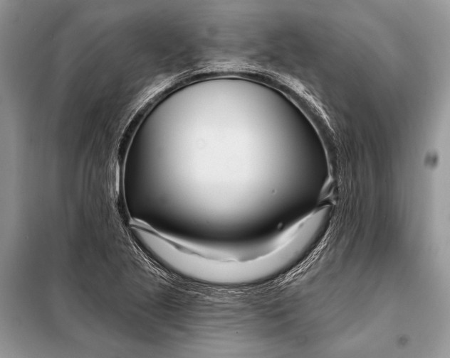 X0000098031221200804181221