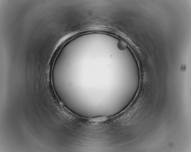 X0000098031222200804181221