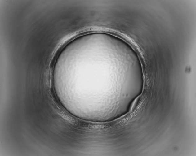 X0000098031223200804181221