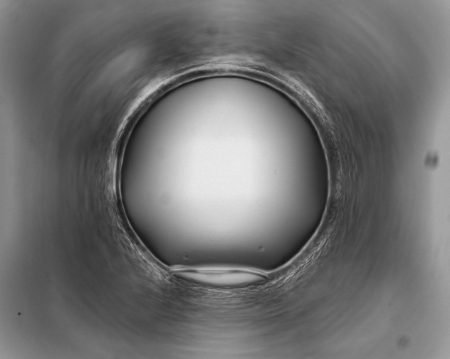 X0000098031224200804181221