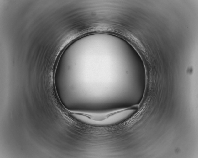 X0000098031226200804181221