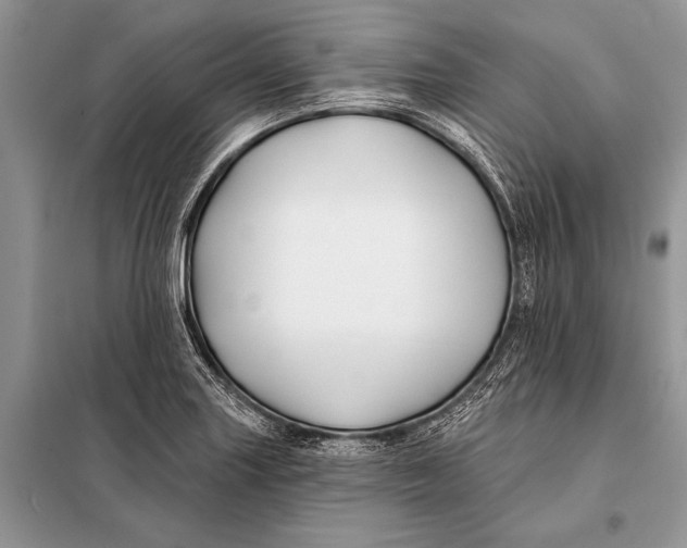 X0000098031227200804181221