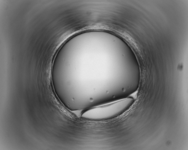 X0000098031228200804181221