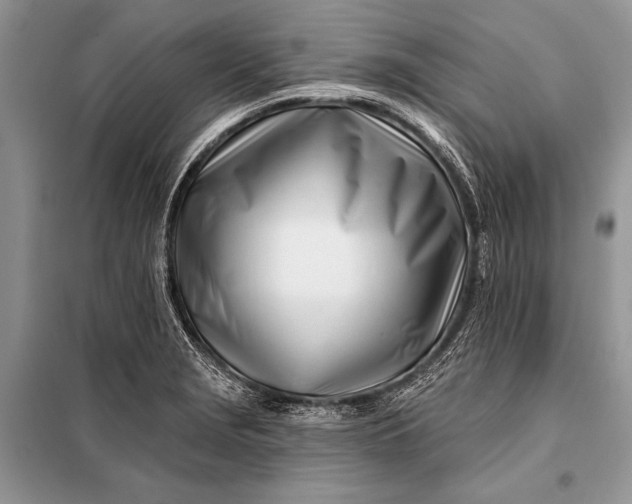 X0000098031229200804181221