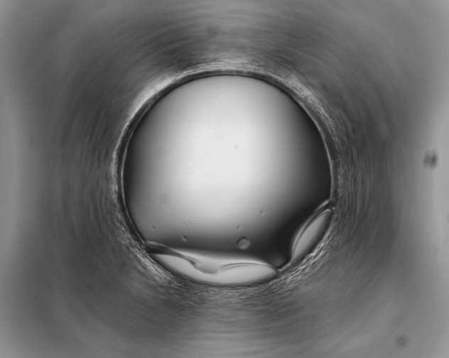 X0000098031230200804181221