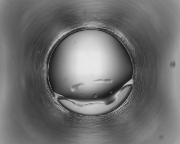 X0000098031232200804181221