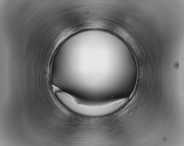 X0000098031234200804181221