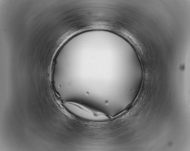 X0000098031236200804181221