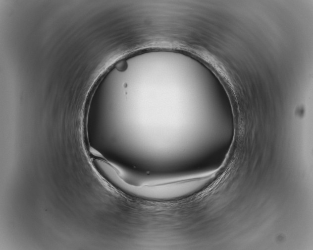 X0000098031237200804181221