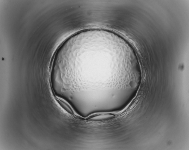 X0000098031239200804181221