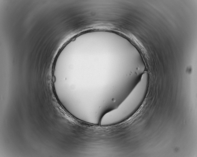 X0000098031240200804181221