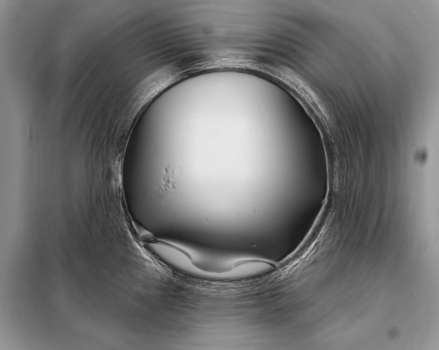 X0000098031241200804181221