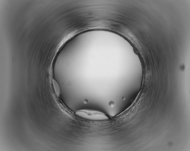 X0000098031242200804181221