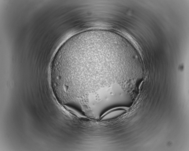 X0000098031243200804181221