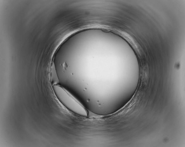 X0000098031244200804181221