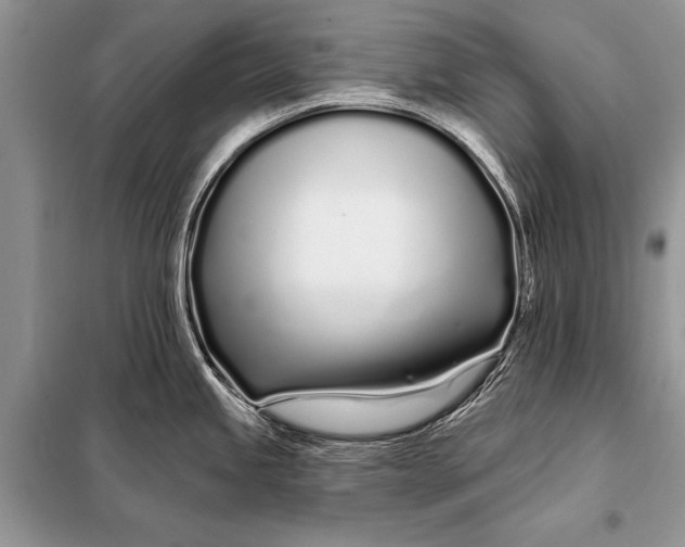 X0000098031245200804181221