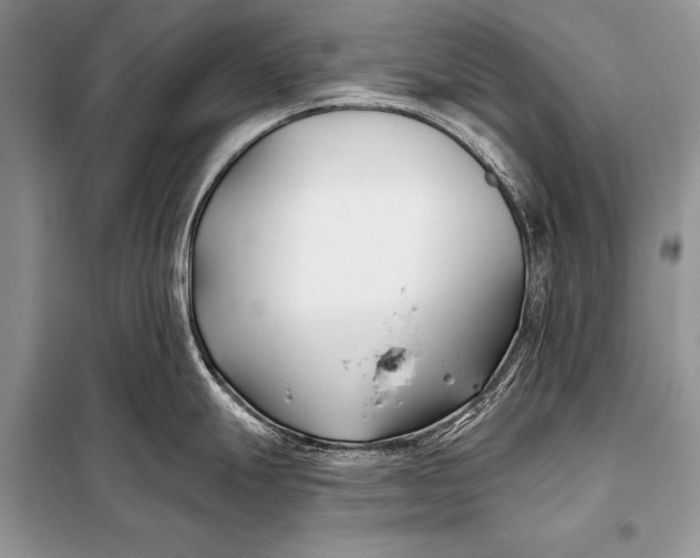 X0000098031247200804181221