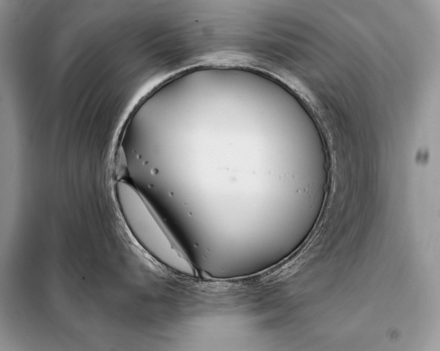 X0000098031248200804181221